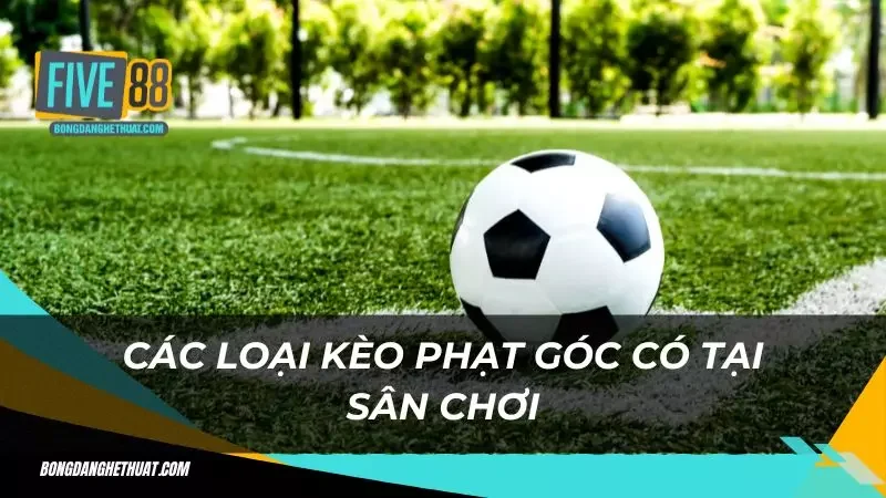 tổng hợp các loại kèo về phạt góc từ nhà cái Five88