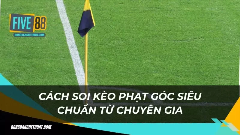 áp dụng chiến thuật hiệu quả từ các cao thủ