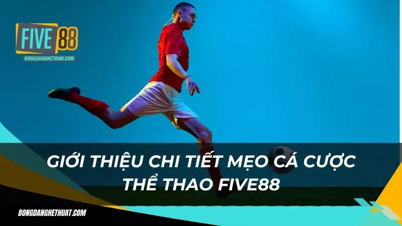 những mẹo hay được các chuyên gia trong giới để lại