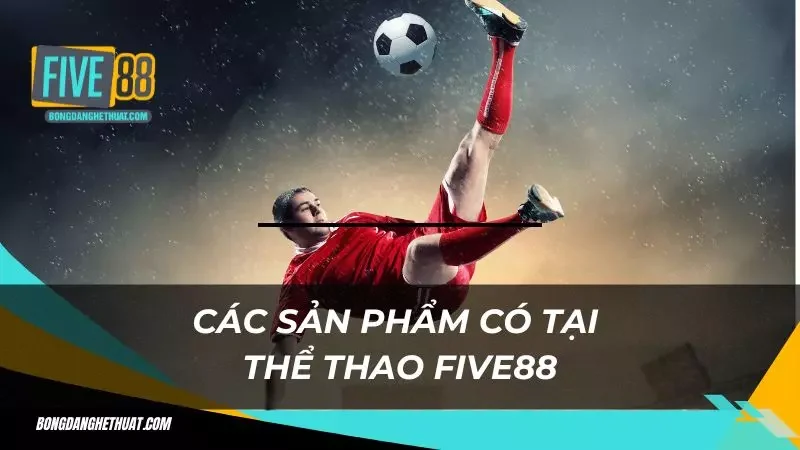 Các trò chơi cá cược đang hot ở sảnh thể thao Five88