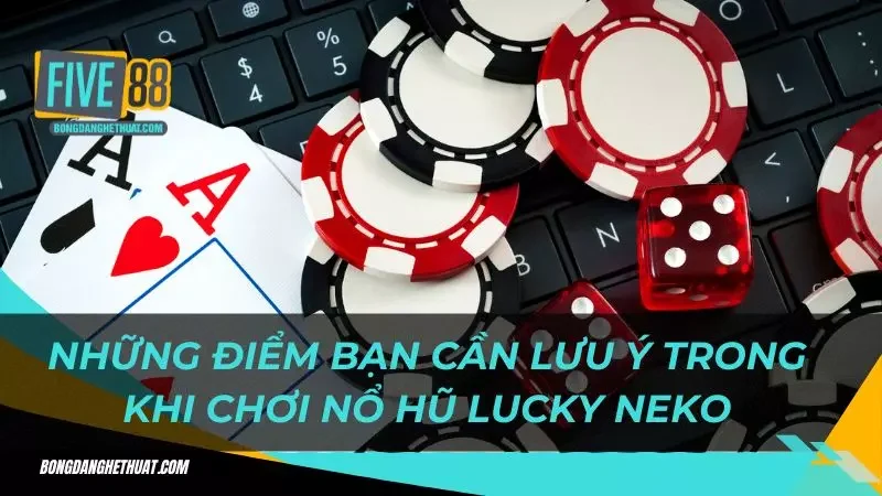 những điểm bạn cần lưu ý trong khi chơi nổ hũ Lucky Neko